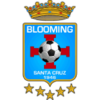 Блуминг Санта Крус
